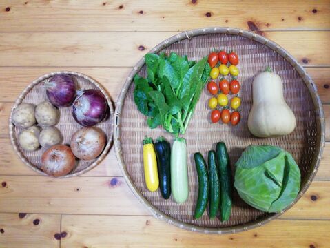 【農薬化学肥料不使用】バターナッツカボチャ入り野菜セット【８種類以上の野菜】【金曜日発送】【あわせ買い可】【熨斗(のし)対応可】【８０サイズ箱】