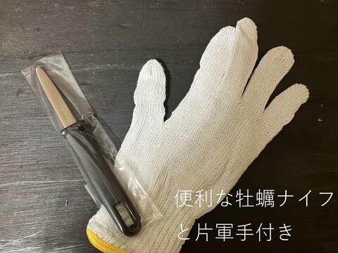 牡蠣のガンガン焼き　（冷凍）　（20個）(約2kg))（牡蠣ナイフ、片手用軍手付)
