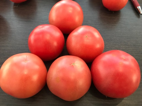 千葉県産　富丸ムーチョ（食べやすいSサイズ）