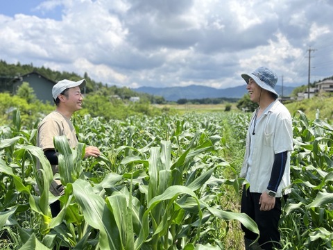 【2026年7月予約🌽夏ギフト🎁】
＼フルーツのような甘さ🌽／
中津川産 大橋農園プレミアム『甘々娘』とうもろこし 10本入り
✨朝採り＆鮮度維持袋でお届け／数量限定！