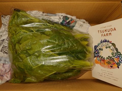 【有機JASツルムラサキ1kg！】ネバネバが身体にいい！夏の葉野菜といえばツルムラサキ！歯応えと、味わいにファン急増中！ほうれん草みたいに使える便利野菜！2kgまで送料同額で発送可能です！