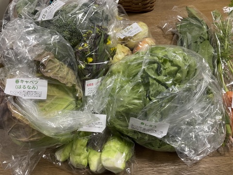 【淡路島より旬をお届け】お任せ野菜セットSサイズ