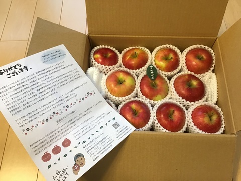 ★★大幅値下げ★★🍎シナノスイート🍎約3キロ箱(家庭用)9〜11玉 ID296866 甘い りんご
