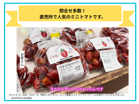 ミニトマト　２ｋｇ〜 ミニトマト約7種ミックス800gとトマト6個の詰め合わせ1.8kg