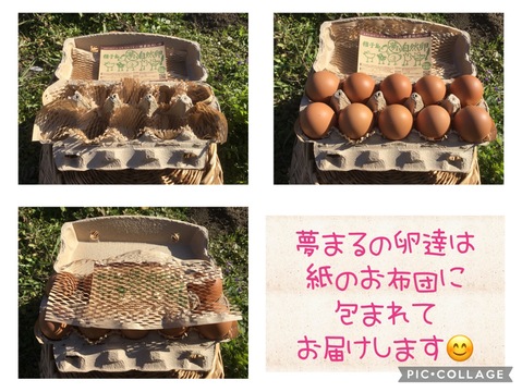 ☆【安納芋の甘みがギュッ‼️】☆っと詰まった夢まる自然卵(10個入り6箱)  のし対応可