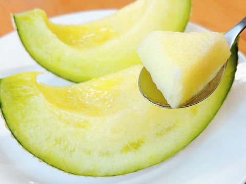 〈12/30〜1/3食べ頃〉【冬ギフト】ジューシーでスッキリとした甘さ！岡山県産マスクメロン(1玉)