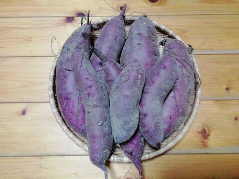 サツマイモ(ベニハルカ)３㎏前後【農薬化学肥料不使用】【熨斗(のし)対応可】【あわせ買い可】　さつまいも