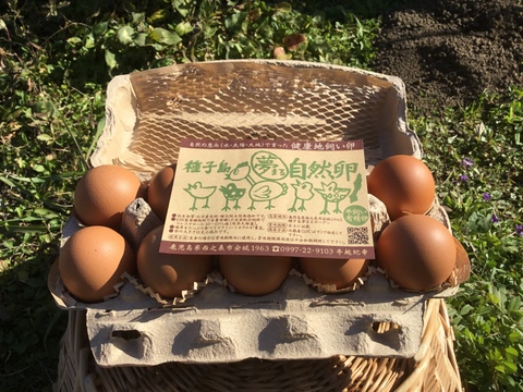 【定期購入専用】
☆＊【安納芋の甘みがギュッ‼️】＊☆
っと詰まった夢まる自然卵(10個入り6箱)