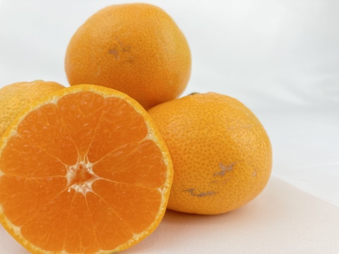 【百貨店で1400箱売れるドルチェみかん🥇】”完熟マルチ栽培”早生みかん10kg