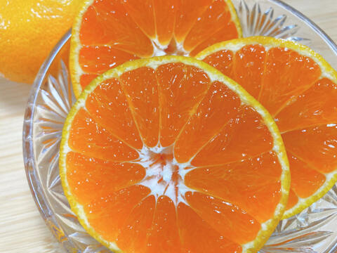 佐賀県産　高糖度登録園みかん！5ｋｇ