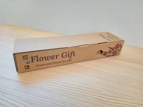 【今シーズン初🌷30件限定】★新商品★フラワーファームしろねのチューリップ 　6本ミックス　コンパクト便でお手頃価格でお届けします(^^♪　※北海道・沖縄県配送不可※