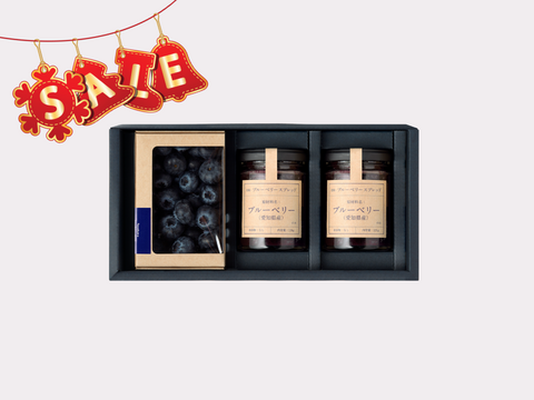 ☆セール中☆【冬の国産生ブルーベリー】100g×1pc、ブルーベリースプレッド 120g×2個〈トヨヒルセット【B】〉