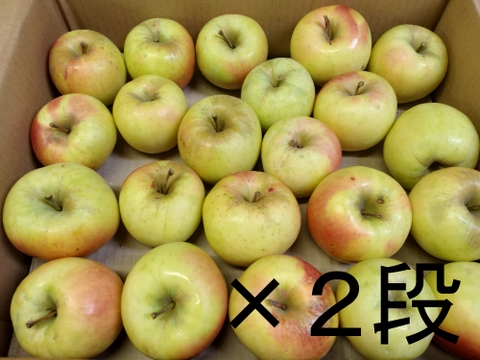 ★ぐんま名月★１１ｋｇ★訳あり★傷・虫害含む★バラ詰め★青森県産★農家直送★