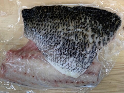 食べ比べ クロダイ切身 キビレセット 漁師直送 千葉県産の魚介類 食べチョク 産地直送 産直 お取り寄せ通販 農家 漁師から旬の食材を直送