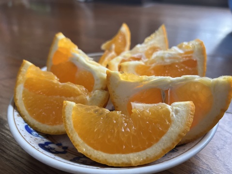 自然農で育った清見オレンジ 5kg