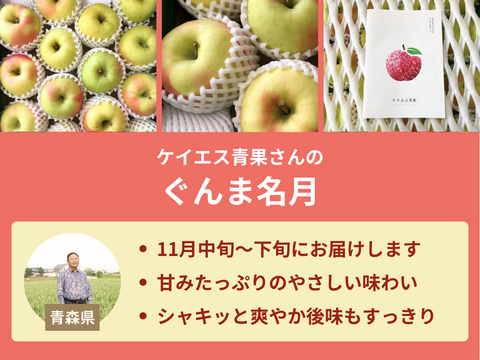 【販売終了】【限定300セット】りんご食べ比べ便第2弾（食べチョク公式）