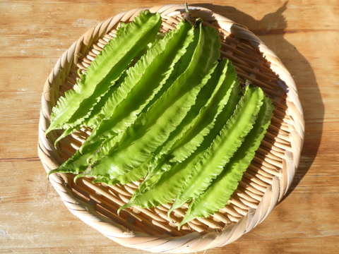 シャキシャキ食感『シカクマメ（四角豆）』（岩手県産）200g