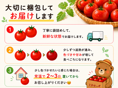 とまほっぺ】ミニトマト3種食べ比べセット｜愛媛・久万高原直送：愛媛