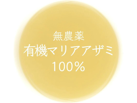有機マリアアザミ茶 個包装 1包×8袋