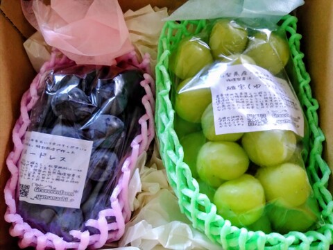 【9月中旬からお届け:1kg以上！】シャインマスカット&おまかせ品種詰め合わせ 1kg箱