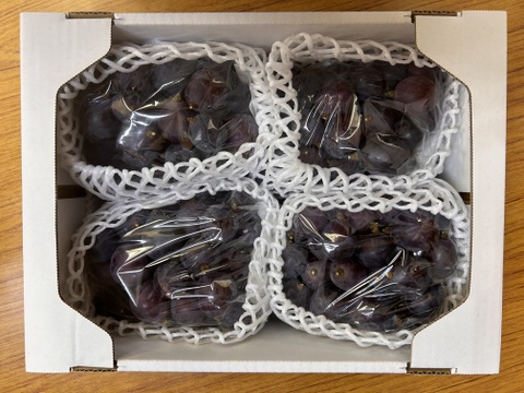 🍇訳あり・粒ピオーネ🍇  約2.5kg【岡山県産】種なしぶどう【ニューピオーネ】