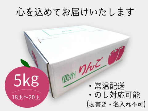 芳醇な甘み “ぐんま名月” 5kg(18～20玉) 贈答用 信州安曇野産りんご 人気商品
