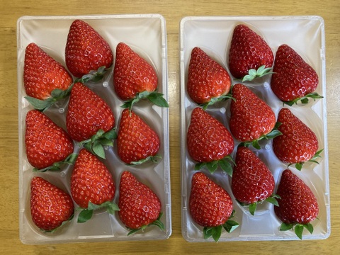 濃厚な甘み　古都華　二箱セット　4パック　奈良県　西吉野　橋本農園　いちご