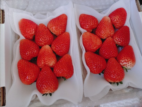 厳選完熟とちあいか