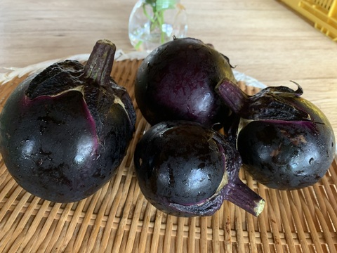 奥出雲産自然栽培自農丸なす(1kg)