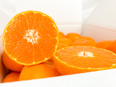 ドルチェみかんの100％ストレートジュース2本化粧箱