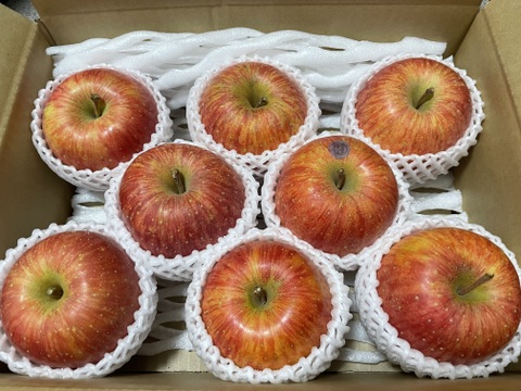 特選　サンふじ　約3kg【2026年産】