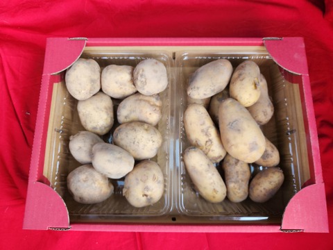 食べ切りやすい量2種類食べ比べ  男爵とメークイン  各種約1kgずつ