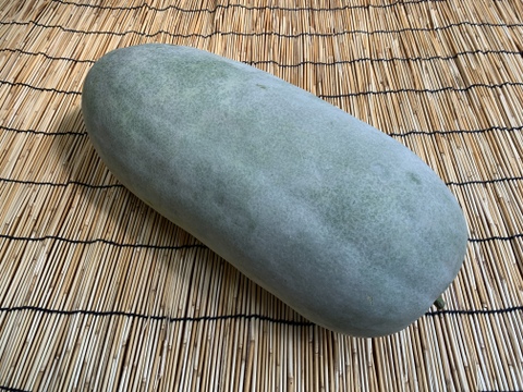 【自然栽培】固定種 大玉冬瓜１玉 5kg以上★農薬・肥料不使用