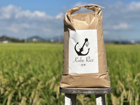 キラッ☆キラの炊き上がり2023年収穫米（新米）
"Kobe Rice" 神戸で穫れた白米で10kg、土日出荷限定