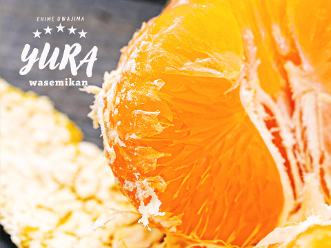 ■限定10箱■【EHIME UWAJIMA】とろ甘の樹上完熟ゆら早生Aセレクション（家庭用)
2.7kg