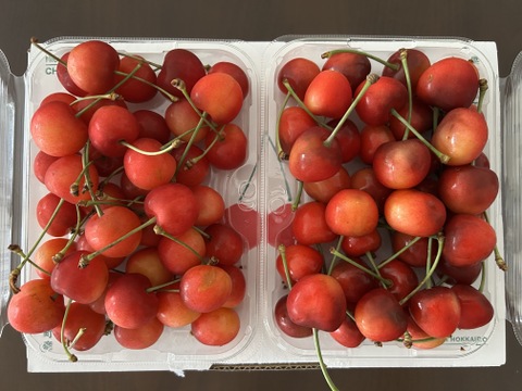 【予約】北海道仁木町産さくらんぼ（佐藤錦）350ｇｘ２パック