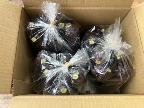 ☆有機JAS認証☆茄子500g×3袋