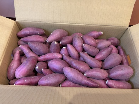 熟成紅はるかの小芋だけ詰込みました。80サイズ箱、約5kg（Mサイズ以下）