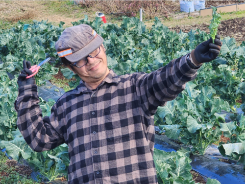 【6月限定3セット　500円引き　60サイズ】神奈川県産　茎ブロッコリー（スティックセニョール）