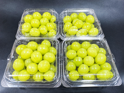 【粒売り】定番の甘さ！岡山県産種なしシャインマスカット 約250gｘ4パック（約1kg、4パック）