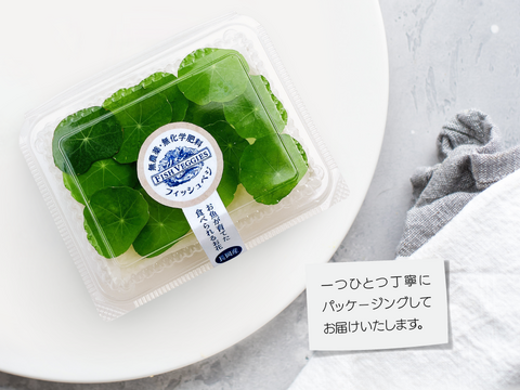 【FISH VEGGIES】ナスタチウムの葉 15枚程度　化学肥料/農薬不使用だから安心して食べられる