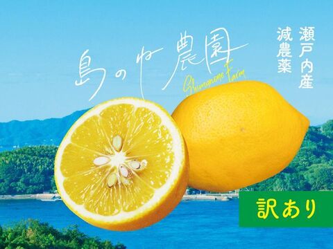 島のねレモン【訳あり/瀬戸内産/国産/サイズ混合/5kg】