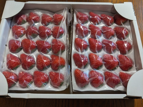 とちあいか1箱4パック(1箱で満足1.3kg以上)