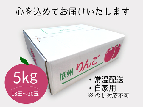 【初物】長野県 信州安曇野産 夏りんご サンつがる  5kg(L～Sサイズ)  自家用 訳あり品 "シャキッとジューシー" ジュースやスムージーにも最適