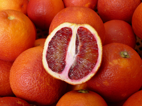 ブラッドオレンジ モロ 2kg : 赤色の果汁が特徴のオレンジ