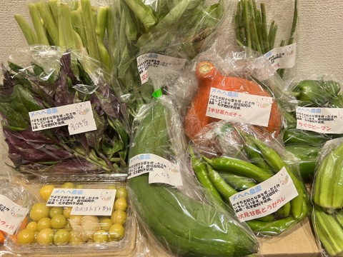 リピーター様歓迎。おまけつき野菜セット。もちろんヤギまっしぐら！