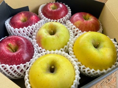 【期間限定ギフト】贅沢４品種ミックス🍎上品7個入りギフトボックス〜化学合成農薬を約40％削減して栽培しました〜安曇野産りんご🍎