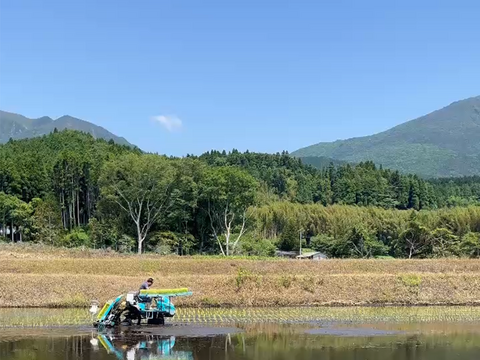 Ｒ７年産一等米ヒノヒカリ「風の香」白米５Kg