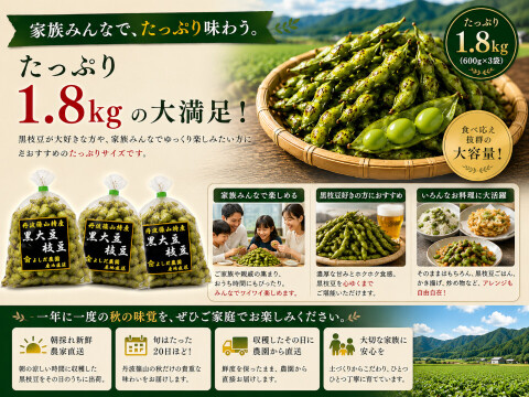 丹波篠山 黒枝豆 1.8kg( 600g × 3袋 ) 【令和7年新豆・予約販売】 産地