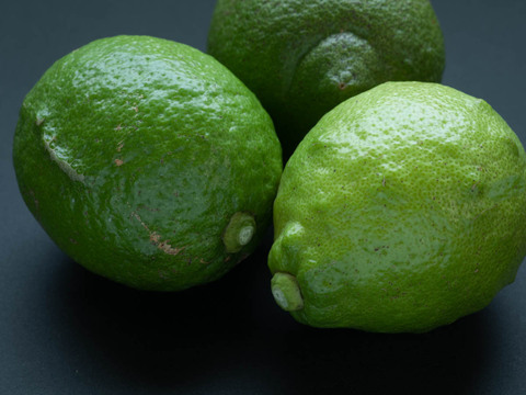 【広島県産】瀬戸田しまなみレモンC品(1kg) 栽培期間中農薬不使用